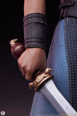 Gladiator Epic Series Statue 1/3 Maximus 66 cm  0783214378195