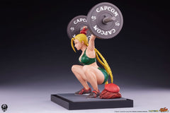 Street Fighter Premier Series Statue 1/4 Cammy: Powerlifting 41 cm 0783214378652