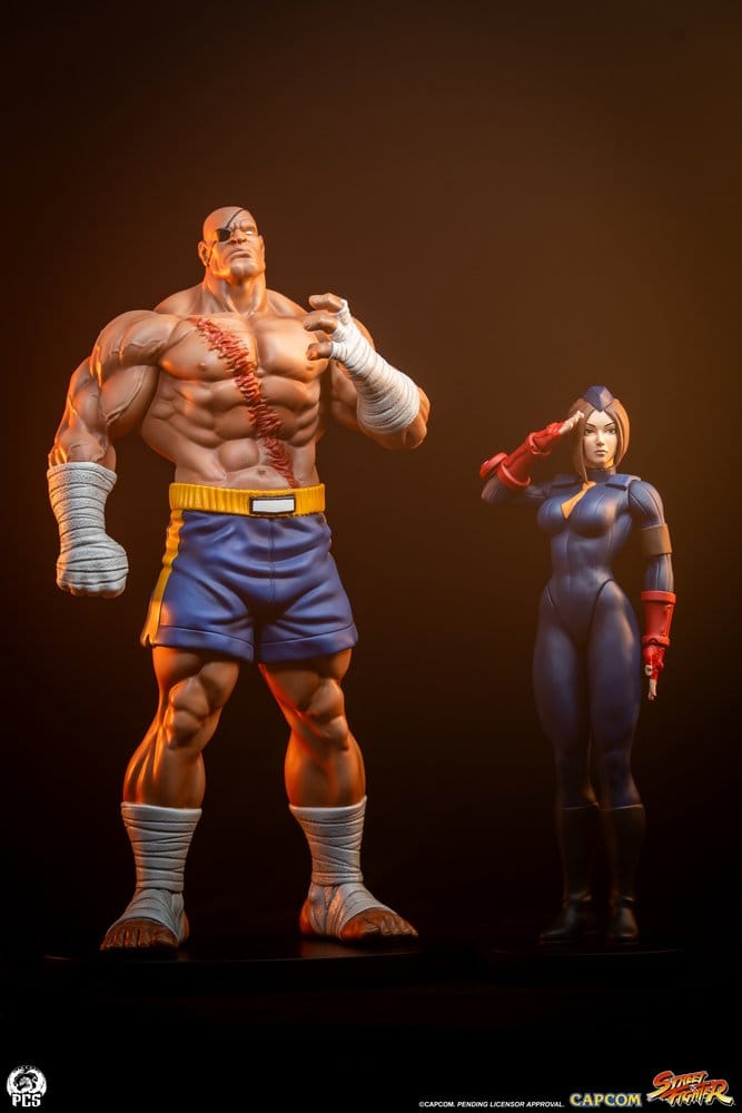 Street Fighter Street Jam Statuen 1/10 Sagat & Juli 24 cm  0783214378843
