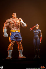 Street Fighter Street Jam Statuen 1/10 Sagat & Juli 24 cm  0783214378843