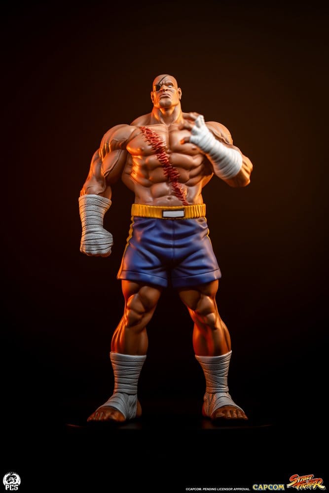 Street Fighter Street Jam Statuen 1/10 Sagat & Juli 24 cm  0783214378843