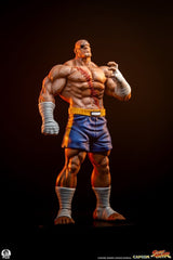 Street Fighter Street Jam Statuen 1/10 Sagat & Juli 24 cm  0783214378843
