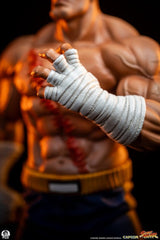 Street Fighter Street Jam Statuen 1/10 Sagat & Juli 24 cm  0783214378843
