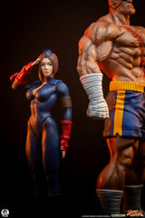 Street Fighter Street Jam Statuen 1/10 Sagat & Juli 24 cm  0783214378843