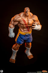 Street Fighter Street Jam Statuen 1/10 Sagat & Juli 24 cm  0783214378843