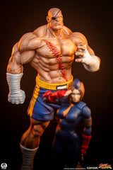 Street Fighter Street Jam Statuen 1/10 Sagat & Juli 24 cm  0783214378843