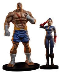 Street Fighter Street Jam Statuen 1/10 Sagat & Juli 24 cm  0783214378843