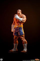 Street Fighter Street Jam Statuen 1/10 Sagat & Juli 24 cm  0783214378843
