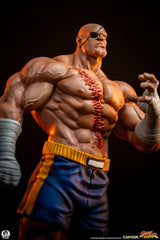 Street Fighter Street Jam Statuen 1/10 Sagat & Juli 24 cm  0783214378843