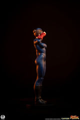 Street Fighter Street Jam Statuen 1/10 Sagat & Juli 24 cm  0783214378843