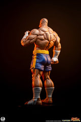 Street Fighter Street Jam Statuen 1/10 Sagat & Juli 24 cm  0783214378843
