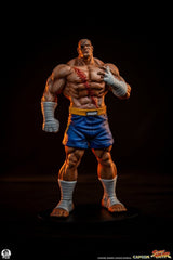 Street Fighter Street Jam Statuen 1/10 Sagat & Juli 24 cm  0783214378843