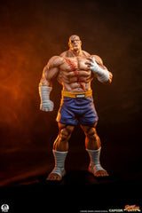 Street Fighter Street Jam Statuen 1/10 Sagat & Juli 24 cm  0783214378843