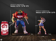 Street Fighter Street Jam Statues 1/10 Sakura & Sodom 22 cm 0783214378850