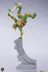 Teenage Mutant Ninja Turtles PVC Statue 4-pack 20 cm 0701575419074