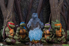 Teenage Mutant Ninja Turtles (Movie Moments) Mini Scale Diorama Splinter's Spirit 36 cm 0783214379741