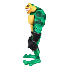 Battletoads Anthology Series Action Figure Wave 1: Zitz 15 cm 0653485516339