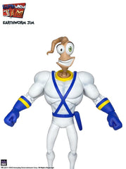 Earthworm Jim Accessory Pack Wave 1: Worm Body & Jim Heads 0653485997237