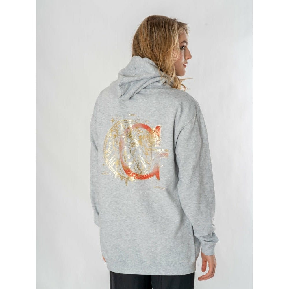 Harry Potter Kapuzenpullover Gryffindor Zodiac Größe XXLHarry Potter Hooded Sweater Gryffindor Zodiac Size XXLHarry Potter sweater à capuche Gryffindor Zodiac (XXL)Harry Potter Sudadera capucha Gryffindor Zodiac Talla XXL 5054015501071