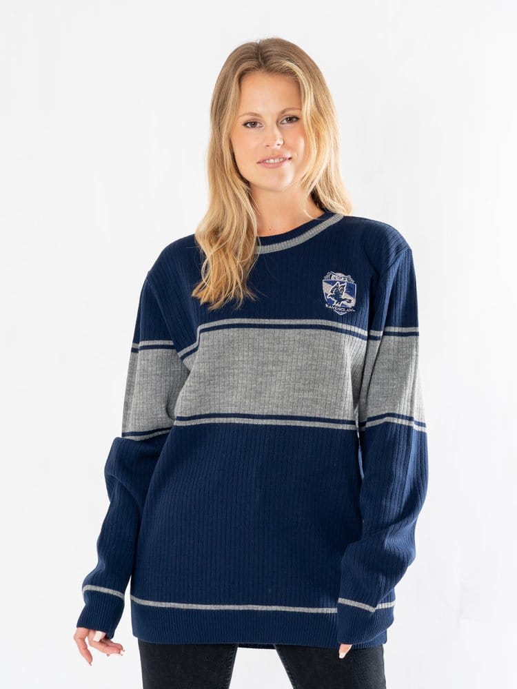 Harry Potter Sweater Ravenclaw Size XL 5054015503525