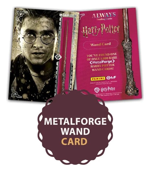 Harry Potter Premium Treasure Box 8051708039146