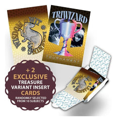 Harry Potter Premium Treasure Box 8051708039146