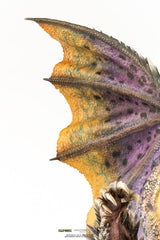 Monster Hunter Statue 1/26 Moster Hunter World Nergigante 77 cm 0713929403349