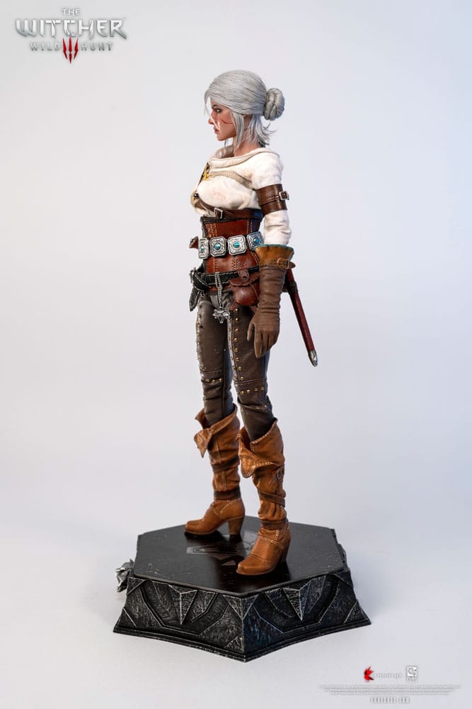 The Witcher 3: Wild Hunt Action Figure 1/6 Ciri of Cintra 30 cm 0713929404964
