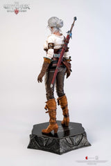 The Witcher 3: Wild Hunt Action Figure 1/6 Ciri of Cintra 30 cm 0713929404964