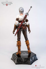 The Witcher 3: Wild Hunt Action Figure 1/6 Ciri of Cintra 30 cm 0713929404964