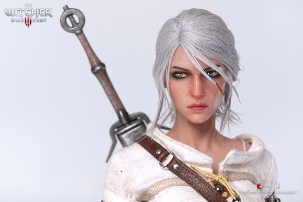 The Witcher 3: Wild Hunt Action Figure 1/6 Ciri of Cintra 30 cm 0713929404964
