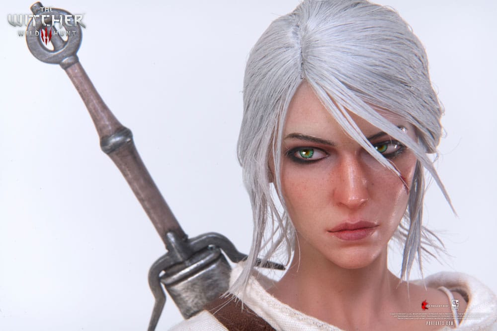 The Witcher 3: Wild Hunt Action Figure 1/6 Ciri of Cintra 30 cm 0713929404964