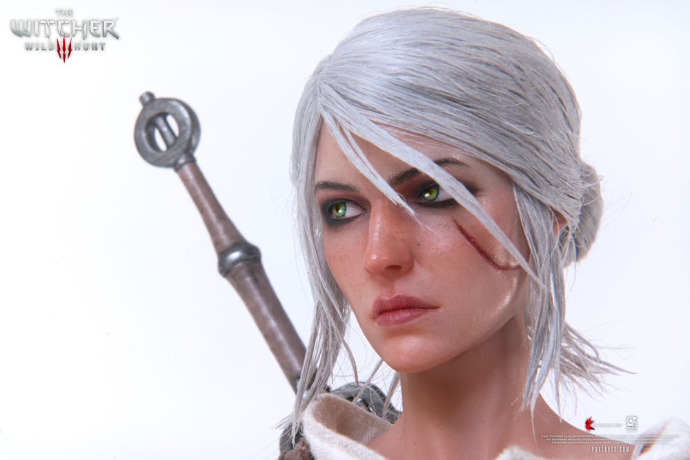 The Witcher 3: Wild Hunt Action Figure 1/6 Ciri of Cintra 30 cm 0713929404964