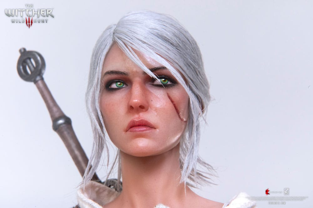 The Witcher 3: Wild Hunt Action Figure 1/6 Ciri of Cintra 30 cm 0713929404964