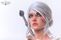 The Witcher 3: Wild Hunt Action Figure 1/6 Ciri of Cintra 30 cm 0713929404964