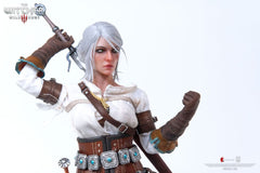 The Witcher 3: Wild Hunt Action Figure 1/6 Ciri of Cintra 30 cm 0713929404964