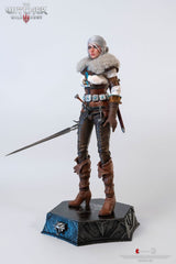 The Witcher 3: Wild Hunt Action Figure 1/6 Ciri of Cintra 30 cm 0713929404964