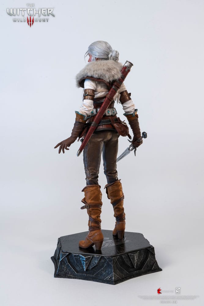 The Witcher 3: Wild Hunt Action Figure 1/6 Ciri of Cintra 30 cm 0713929404964