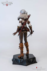 The Witcher 3: Wild Hunt Action Figure 1/6 Ciri of Cintra 30 cm 0713929404964