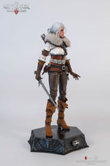 The Witcher 3: Wild Hunt Action Figure 1/6 Ciri of Cintra 30 cm 0713929404964