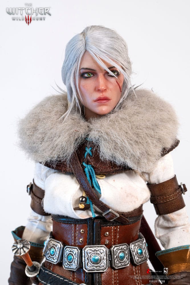 The Witcher 3: Wild Hunt Action Figure 1/6 Ciri of Cintra 30 cm 0713929404964