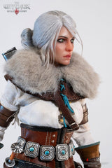 The Witcher 3: Wild Hunt Action Figure 1/6 Ciri of Cintra 30 cm 0713929404964