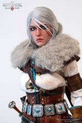 The Witcher 3: Wild Hunt Action Figure 1/6 Ciri of Cintra 30 cm 0713929404964