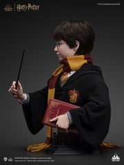 Harry Potter Bust 1/1 Harry 76 cm 6972662530659