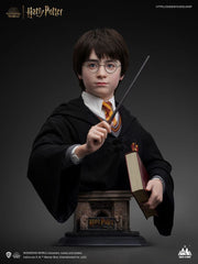 Harry Potter Bust 1/1 Harry 76 cm 6972662530659