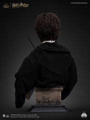 Harry Potter Bust 1/1 Harry 76 cm 6972662530659