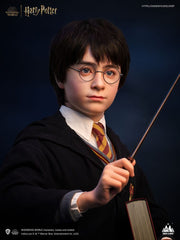 Harry Potter Bust 1/1 Harry 76 cm 6972662530659
