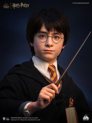 Harry Potter Bust 1/1 Harry 76 cm 6972662530659