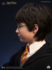 Harry Potter Bust 1/1 Harry 76 cm 6972662530659