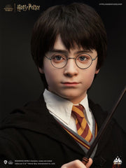 Harry Potter Bust 1/1 Harry 76 cm 6972662530659